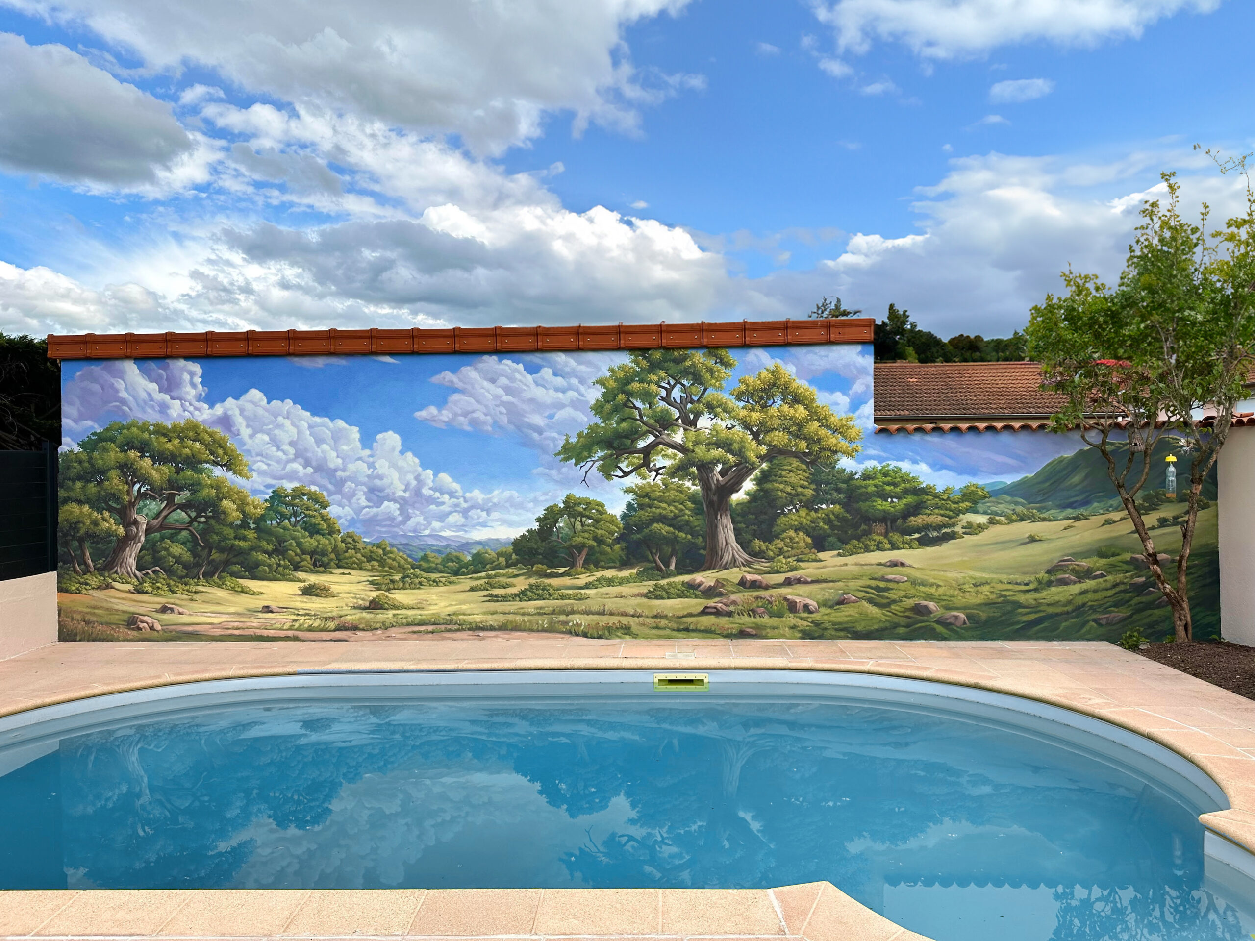 jardin_piscine_fresque_murale_streetart_paysage_lachaize_roannais