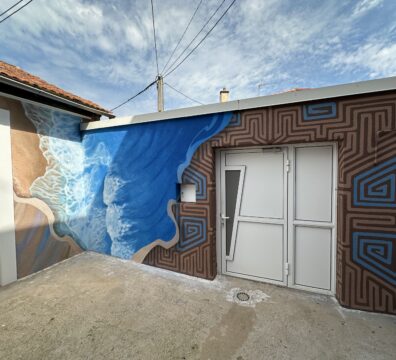 rhone_peinture_decoration_artisan_perreux_patrimoine